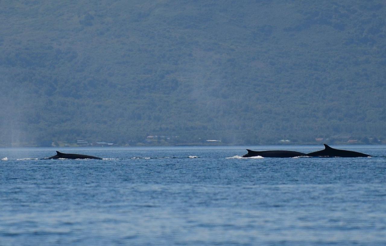 Zachar Bay Lodge Kodiak Ngoại thất bức ảnh