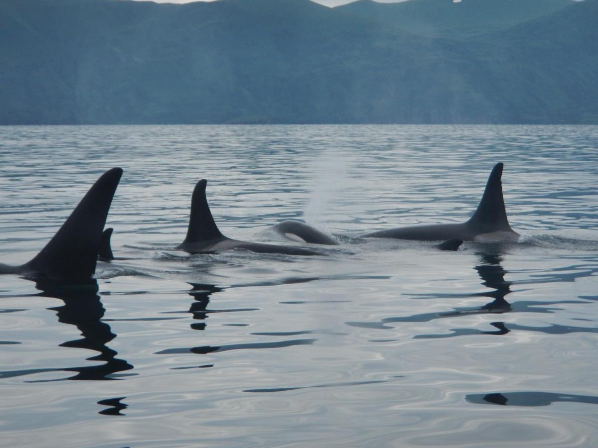 Zachar Bay Lodge Kodiak Ngoại thất bức ảnh